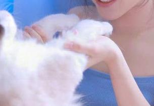 Xiuren秀人网 – 静颜宁运动写真无圣光系列:运动之美,尽在这一份合集.txt
