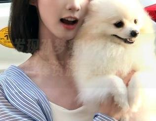 爱蜜社 – 发现孙梦瑶V花嫁作品背后的故事，超棒资源等你探索.txt